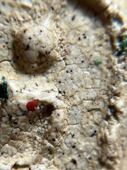 พระสมเด็จวัดระฆังพิมพ์ใหญ่ เห็นเม็ดมลสาร รูปที่ 10