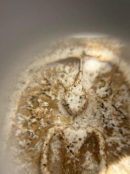 สมเด็จเนื้อแกร่ง รูปที่ 9