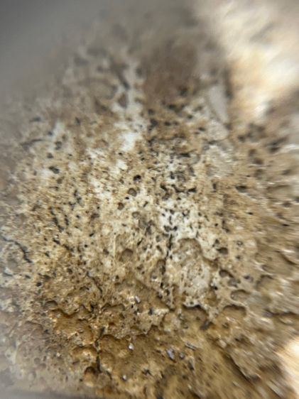 สมเด็จเนื้อแกร่ง รูปที่ 10