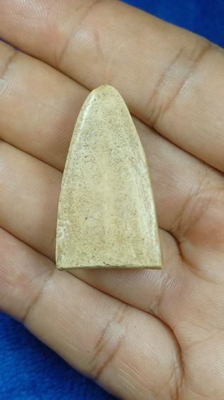 หลวงปู่ทวด เนื้อผงพุทธคุณ วัดใหม่อัมพร พ.ศ.2505 พิมพ์ใหญ่ รูปที่ 2