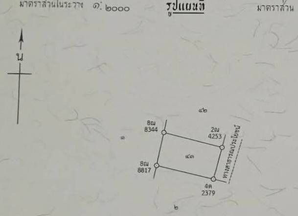 ที่ดินเปล่า รูปที่ 2