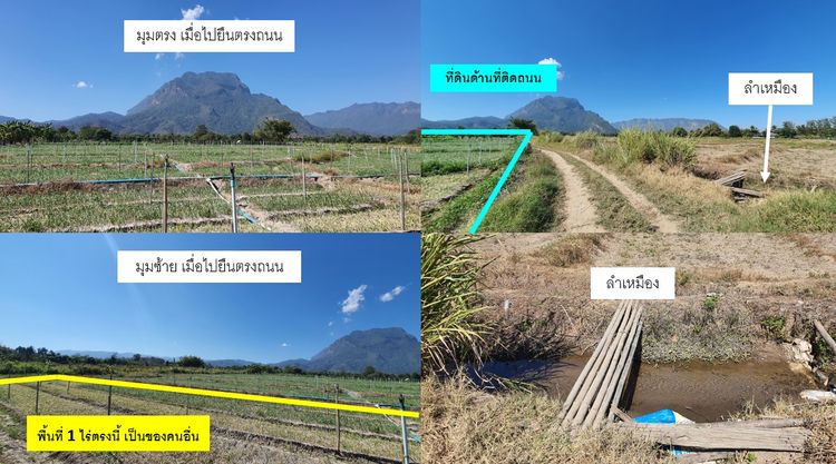 ที่ดิน อ.เชียงดาว จ.เชียงใหม่ วิวดอยหลวง 4 ไร่ 🔥 5 ล้าน 🔥 รูปที่ 4