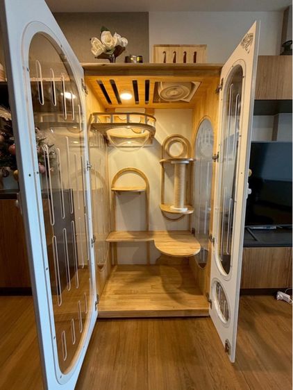 ตู้คอนโดแมว รูปที่ 5