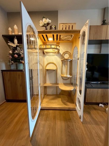 ตู้คอนโดแมว รูปที่ 4