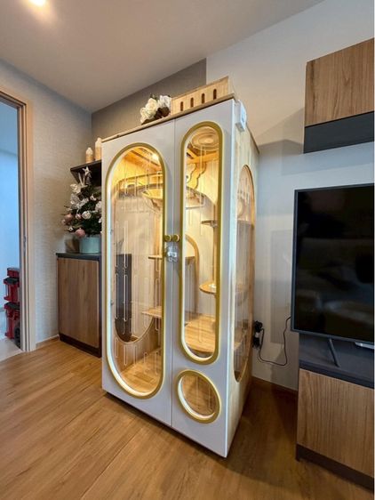 ตู้คอนโดแมว รูปที่ 3