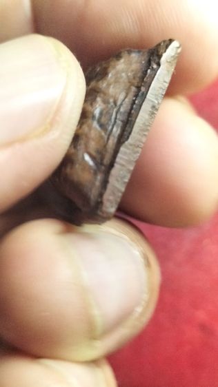 พระหลวงปู่ทวดวัดช้างให้ รูปที่ 11