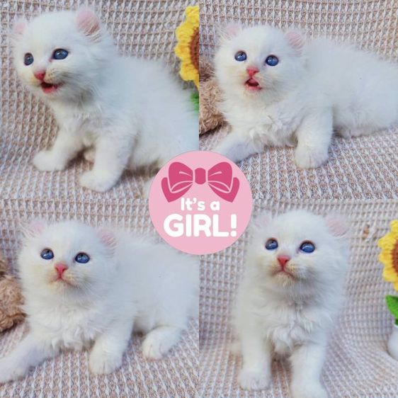 ระยองพร้อมป่วน รูปที่ 3