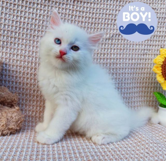 ระยองพร้อมป่วน รูปที่ 5