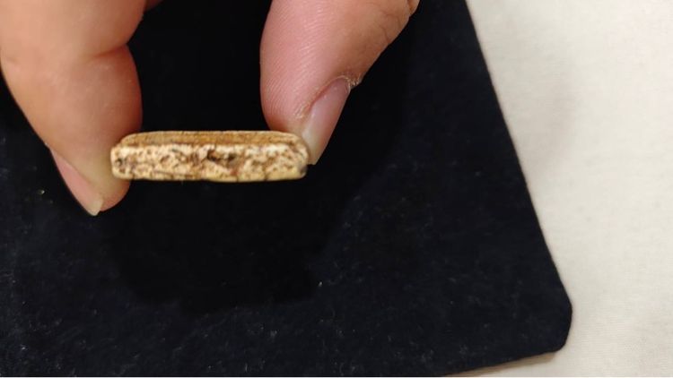 พระสมเด็จวัดระฆัง รูปที่ 6