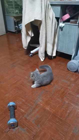 มัน​ช์​กิ้นขา​สั้น รูปที่ 11