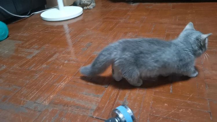 มัน​ช์​กิ้นขา​สั้น รูปที่ 12