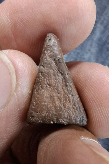 พระนางพญาอกนูนเล็ก รูปที่ 10