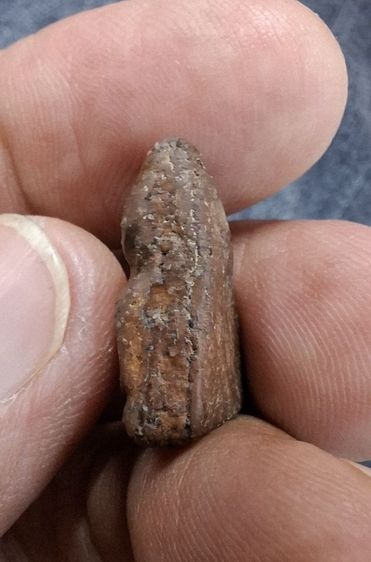 พระนางพญาอกนูนเล็ก รูปที่ 8