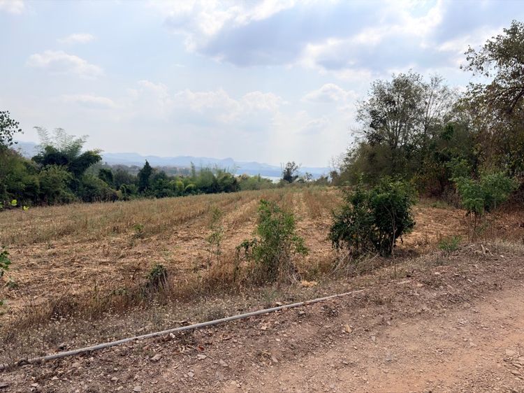 ไม่ใช่ ที่ดินเปล่า รูปที่ 3