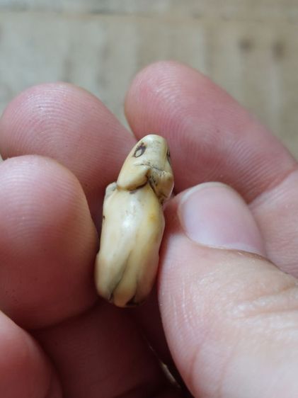 เครื่องรางหมูหลวงพ่อเฮงวัดเขาดิน รูปที่ 6