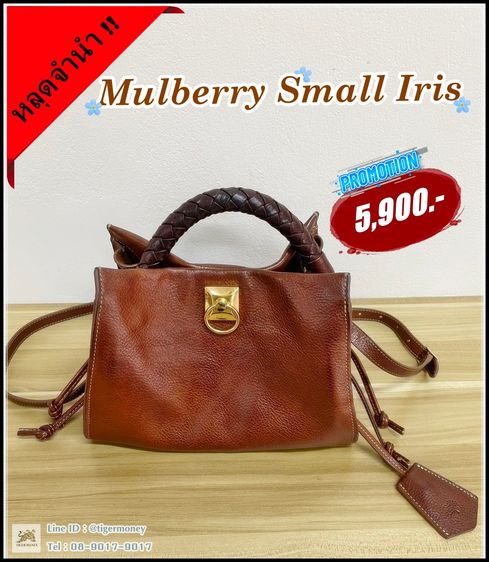 อื่นๆ หญิง น้ำตาล กระเป๋า Mulberry Small Iris สี Oak 
