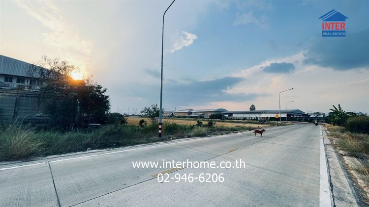 ที่ดินเปล่า 5 ไร่ ที่ดินถนนลำลูกกา ติดถนนเลียบด่วนลำลูกกาคลอง5 ใกล้โรงงาน MOGEN ถนนลำลูกกา ถนนรังสิต-นครนายก ลำลูกกา ปทุมธานี รูปที่ 4