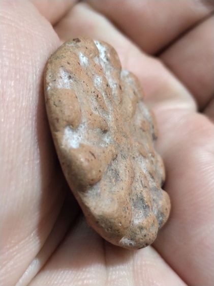  250 รูปที่ 4