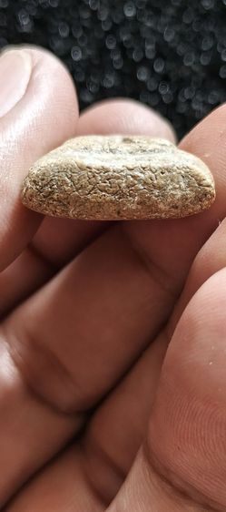 หลวงพ่อแก้ววัดเครือวัลย์ รูปที่ 8