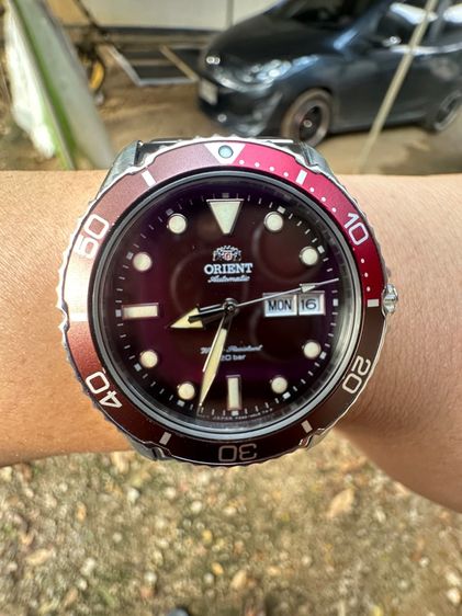 Orient kamasu รูปที่ 2