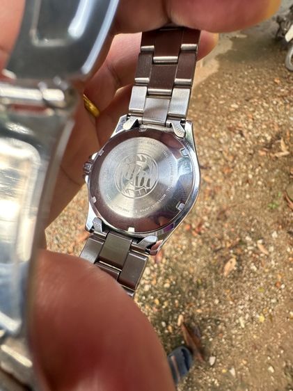 Orient kamasu รูปที่ 6