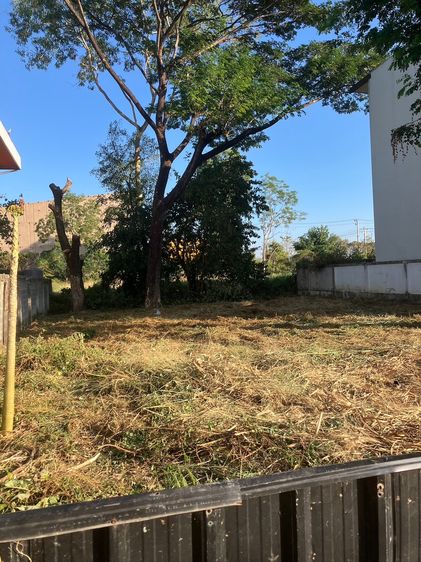 ขายที่ดินเปล่า หลัง Big C ดอนจั่น เชียงใหม่ รูปที่ 2