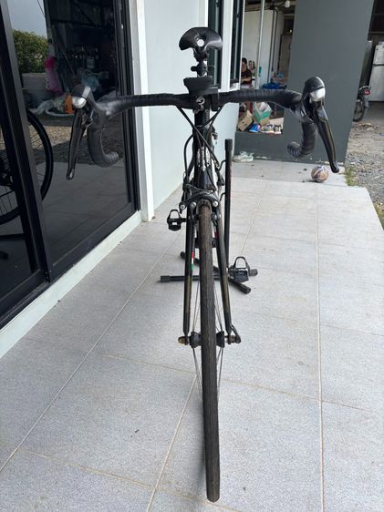 เสือหมอบ bianchi nirone 7 รูปที่ 2