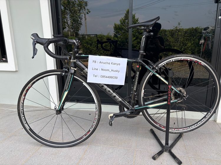 เสือหมอบ bianchi nirone 7