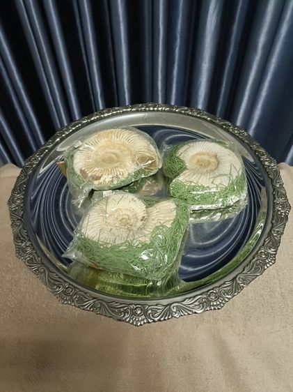 แอมโมไนต์(Ammonite)