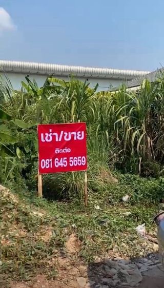ขายที่ดิน ซอยพัฒนาชนบท 3 ลาดกระบัง
