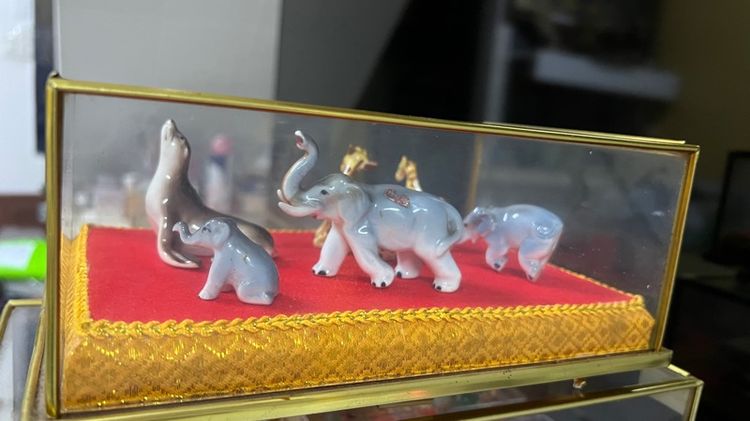 ของตกแต่งพร้อมกล่องกระจก รูปที่ 8