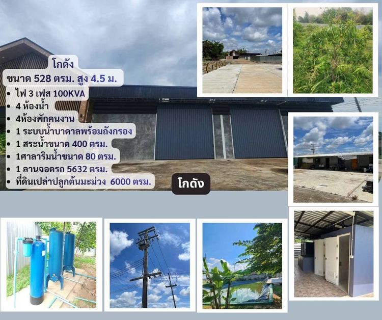 ขายที่ดินพร้อมสิ่งปลูกสร้าง ทำเลดี อำเภอป่าขาง จังหวัดลำพูน รูปที่ 3