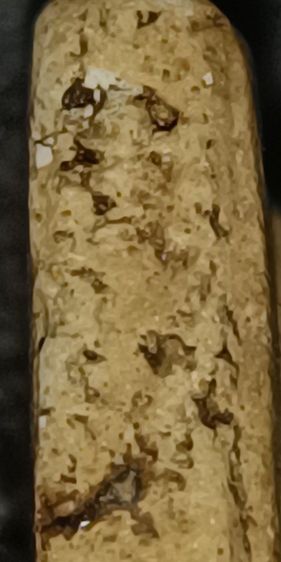 พระสมเด็จวัดระฆัง สมเด็จโต รูปที่ 11