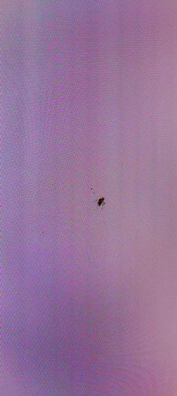 ทีวี Q6F ชีรี่  65นิ้ว รูปที่ 13