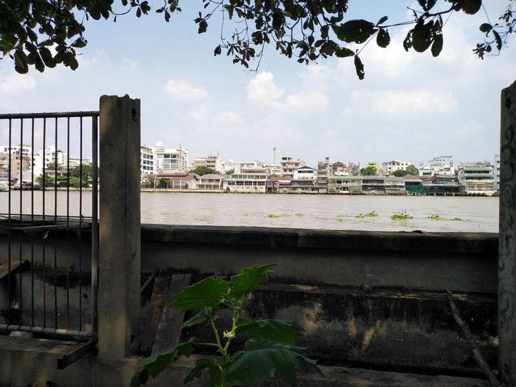 ที่ดินติดแม่น้ำเจ้าพระยาคลองสานใกล้ล้ง1919, Icon siam รูปที่ 2