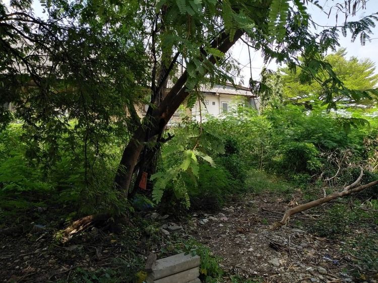 ที่ดินติดแม่น้ำเจ้าพระยาคลองสานใกล้ล้ง1919, Icon siam รูปที่ 3