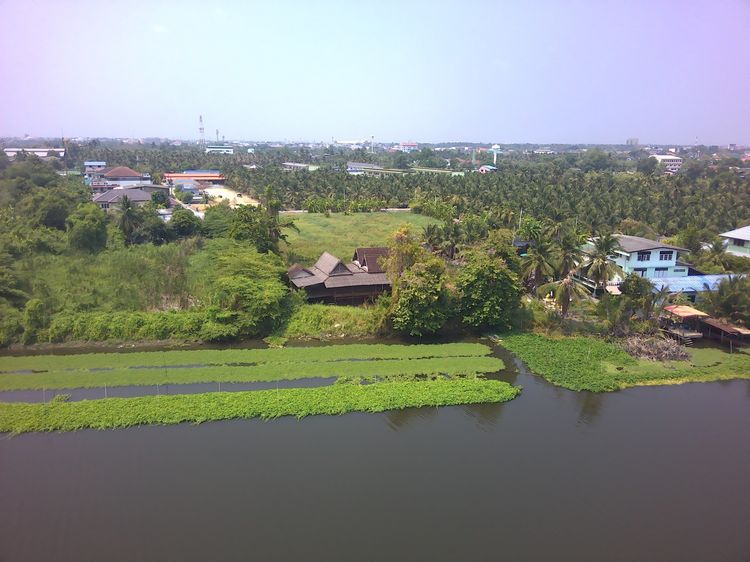 ที่ดินติดแม่น้ำท่าจีน3ไร่ท่าตลาด ใกล้วัดไร่ขิง450เมตร