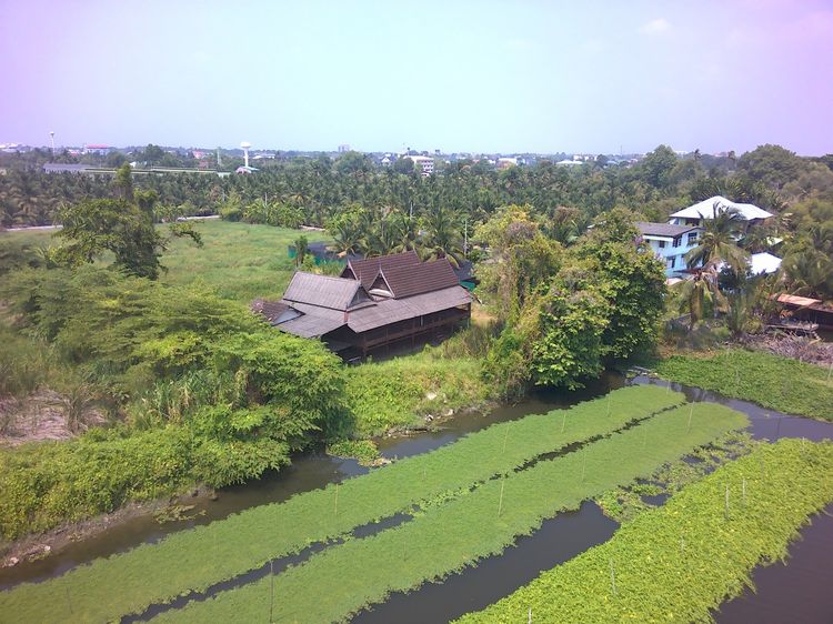 ที่ดินติดแม่น้ำท่าจีน3ไร่ท่าตลาด ใกล้วัดไร่ขิง450เมตร รูปที่ 4