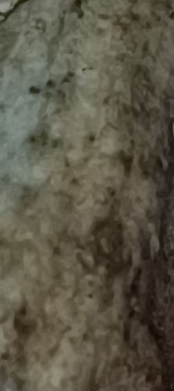 พระสมเด็จวัดระฆัง รูปที่ 17