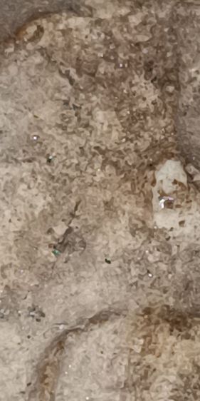 พระสมเด็จวัดระฆัง รูปที่ 4