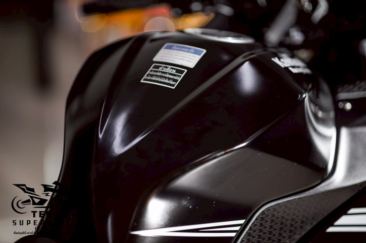 KAWASAKI NINJA300 ABS Winter Test Edition 2017 รูปที่ 7