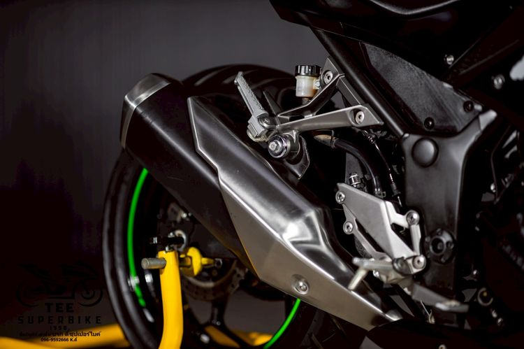 KAWASAKI NINJA300 ABS Winter Test Edition 2017 รูปที่ 11