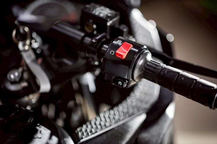 KAWASAKI NINJA300 ABS Winter Test Edition 2017 รูปที่ 8