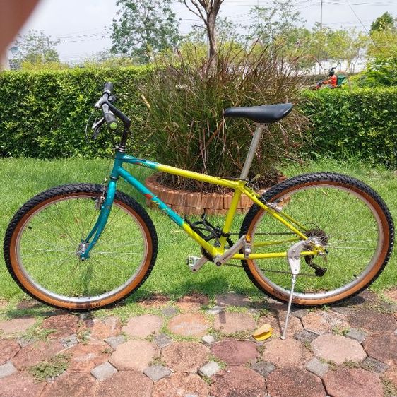 จักรยานเสือภูเขา araya รูปที่ 4