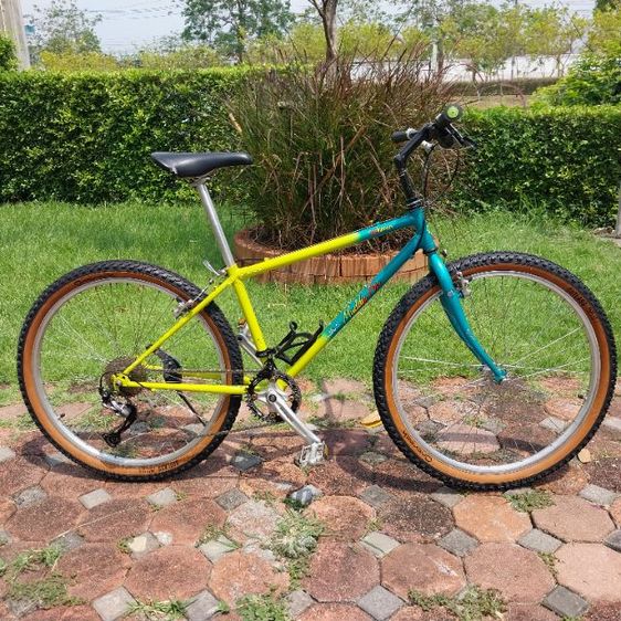 จักรยานเสือภูเขา araya