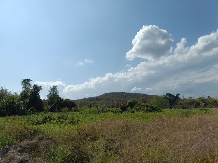 ที่ดินตาน้ำ มีตลอด 5 ไร่ แม่แตง เชียงใหม่ รูปที่ 2