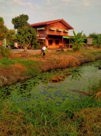 ขายที่ดินเปล่าติดถนนมิตรไมตรีหนองจอก