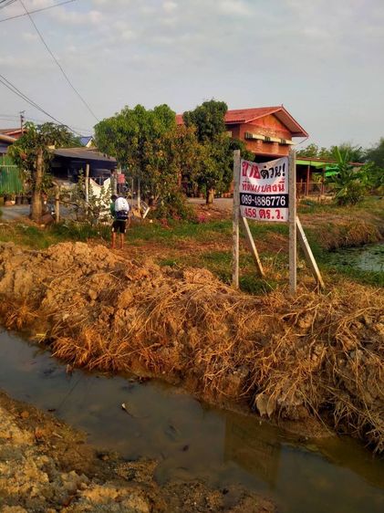 ใช่ ขายที่ดินเปล่าติดถนนมิตรไมตรีหนองจอก รูปที่ 2