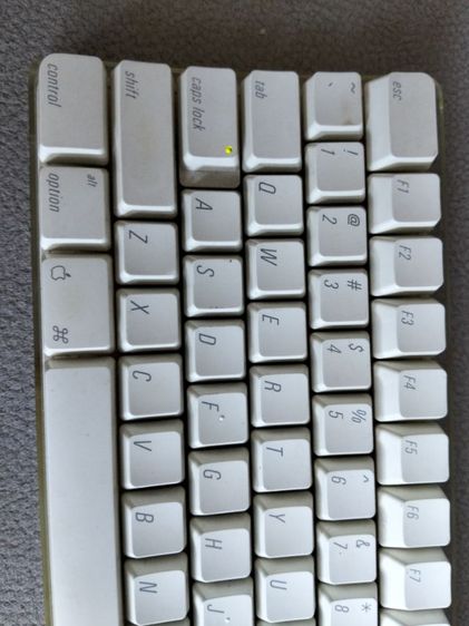 ขอขาย Keyboard apple wireless รุ่น A1016 ใช้ถ่าน4ก้อน สภาพดียังใหม่ใช้ได้ทุกเม็ดไม่มีเสียไฟมาปกติทดลองมาเรียบร้อยแล้ว รูปที่ 7