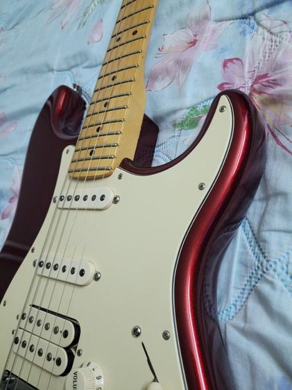 Fender American Std.  (USA.) รูปที่ 9